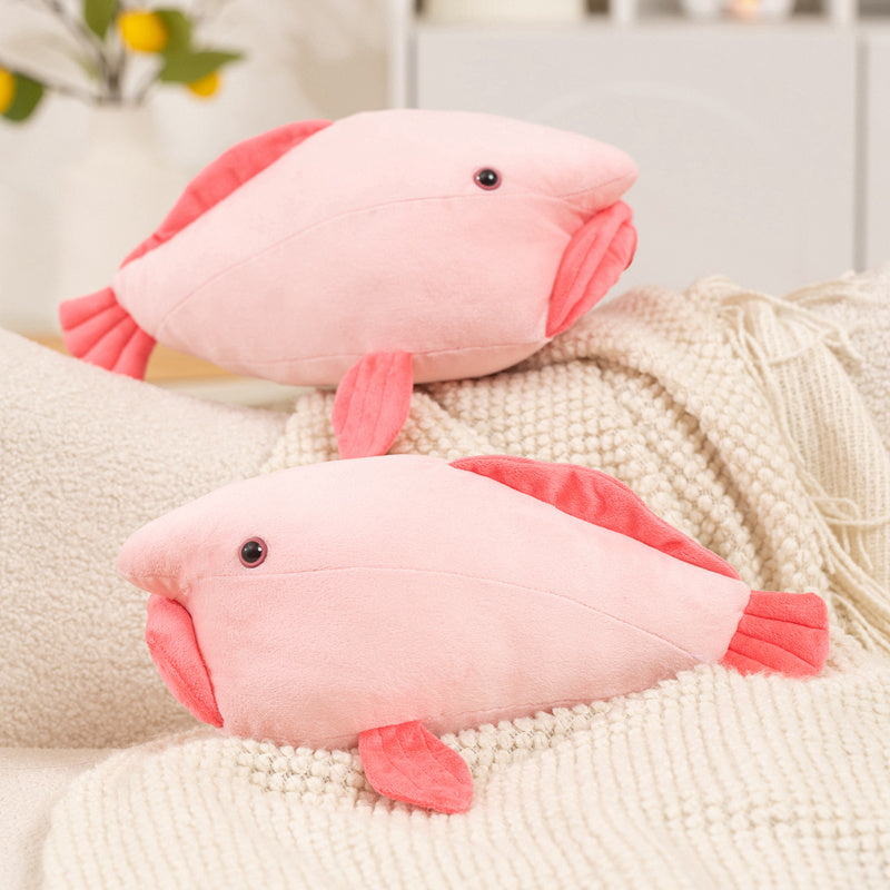 fish
