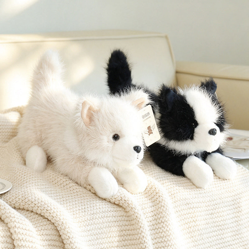 dog-35cm