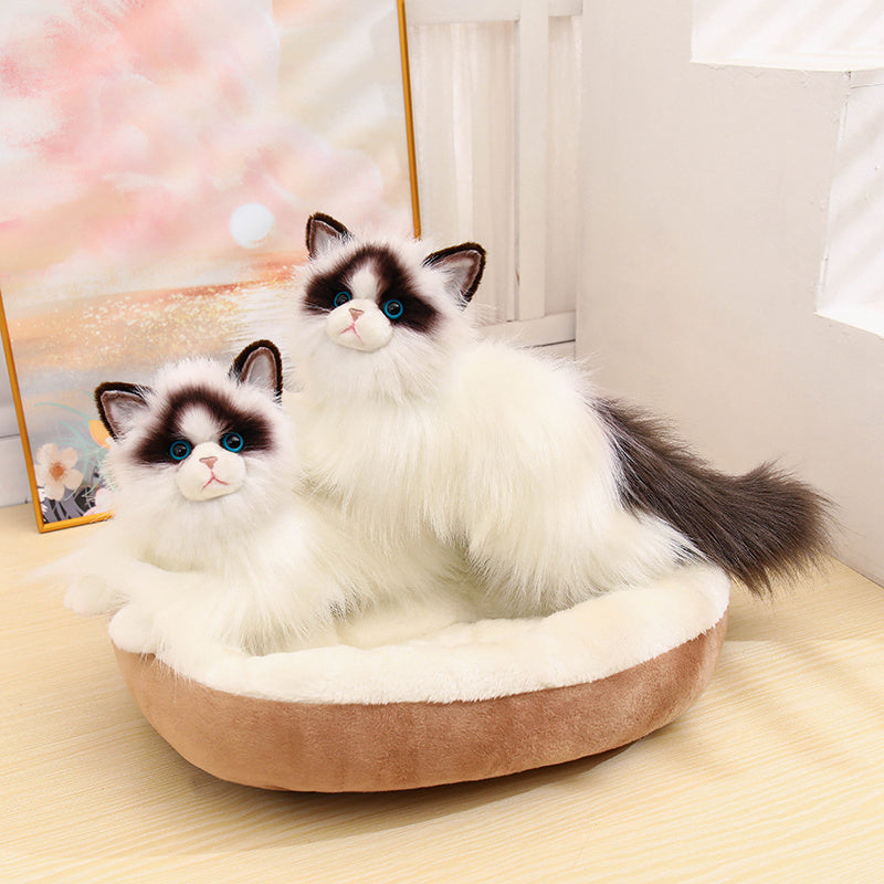 Ragdoll-50cm
