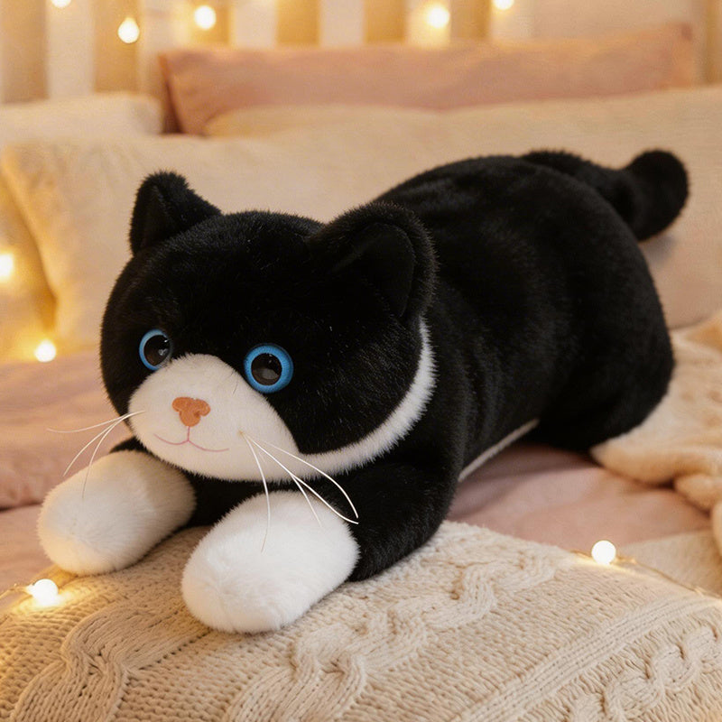 cat-45cm