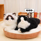 ELAINREN Simulation Cat Stuffed Realistic Kitten Toy GIfts