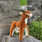 Tibetan antelope