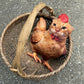 chicken-45cm