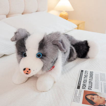 dog-40cm