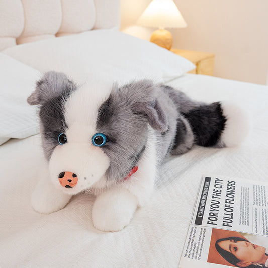dog-40cm