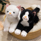 ELAINREN Realisitc Kitten Cat Stuffed Kitty Toy GIfts