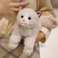 ELAINREN Cuddly Striped Cat Stuffed Animals Lifelike Tabby Kitten Plush Toy Gifts/28cm