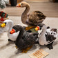 swan-33cm