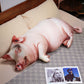 ELAINREN Ultra Realistic Pig Plush Pillow, Cute Pig Decorative Throw Pillow-100cm