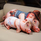ELAINREN 3D Realistic Pig Stuffed Soft Pillow Soft Pigpy Plush Big Cushion Decor Gifts/100cm