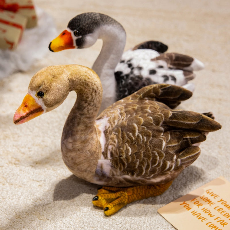 swan-33cm