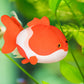 ELAINREN Simulation Goldfish Stuffed Decor Pillow Realistic Koi Plush Carp Soft Home Cushion/19.6''