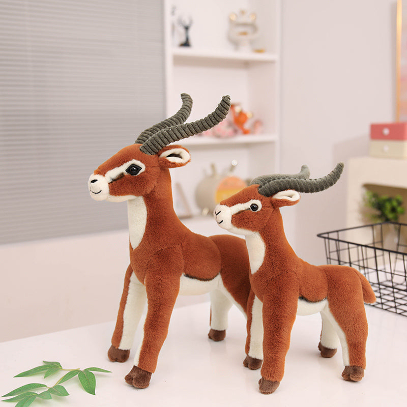 Tibetan antelope