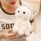 ELAINREN Realistic White Cat Stuffed Kitten Kitty Toy Gifts/20cm