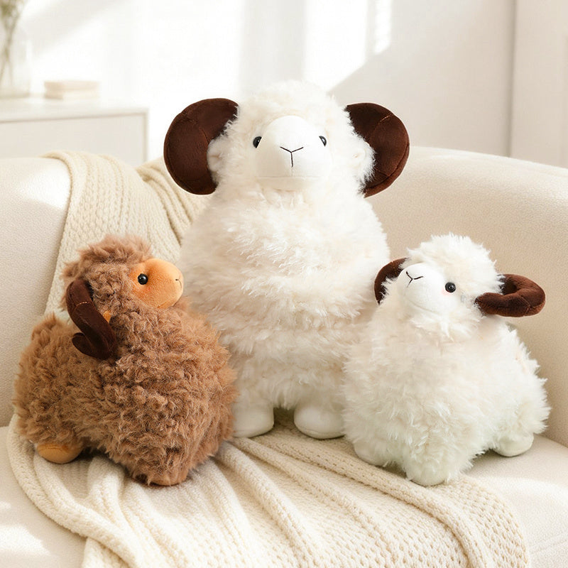 sheep