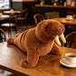 ELAINREN Realistic Walrus Stuffed Animals Toy/38cm