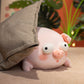ELAINREN Ultra-Soft Pink Pig Plush Body Pillow/15.7''