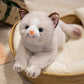 ELAINREN Realisitc Kitten Cat Stuffed Kitty Toy GIfts