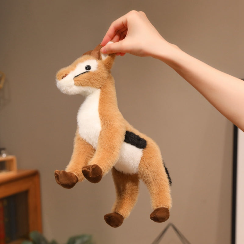 Tibetan antelope