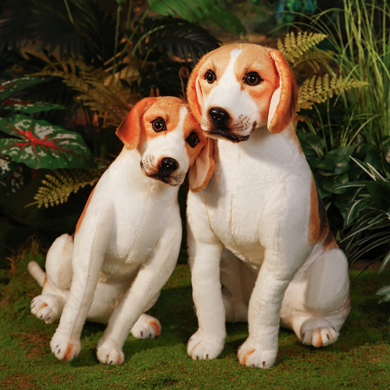 beagle-45cm