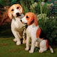beagle-45cm