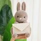 ELAINREN Furry Gray Rabbit Plush Toy Cute Stuffed Bunny with Envelope Decor/9.8inch