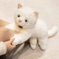 ELAINREN Realisitc White Kitten Stuffed Animals Toy GIfts
