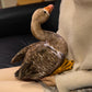 swan-33cm