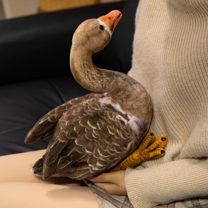 swan-33cm