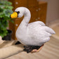 swan-33cm