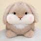 ELAINREN Chubby Brown Bunny Stuff Big Pillow Soft Rabbit Plush Toy/14''