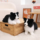 sheepdog-standing-29cm/sitting-24cm/prone-34cm