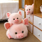 pig-60cm