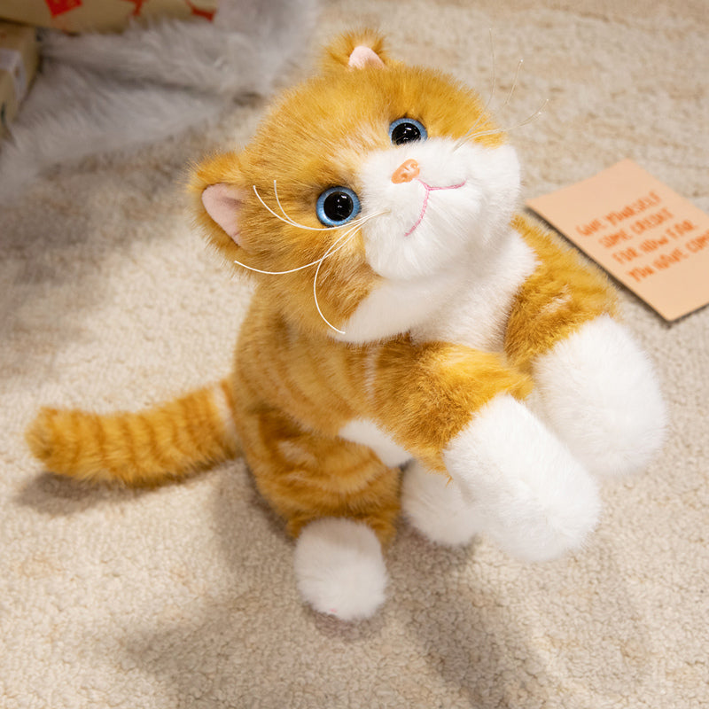 cat-45cm