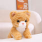 cat-25cm