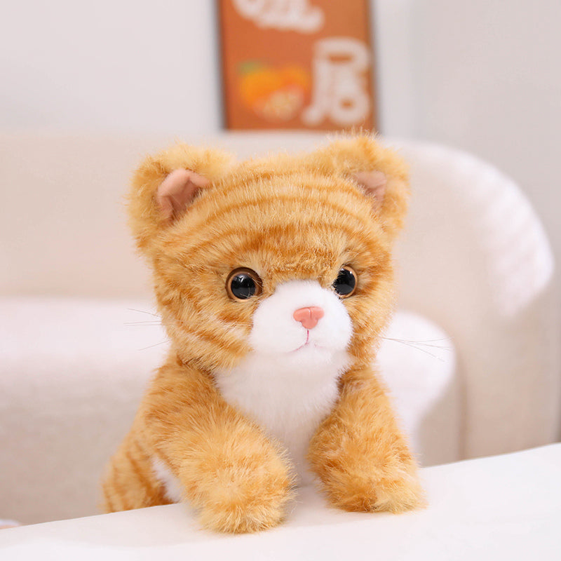 cat-25cm
