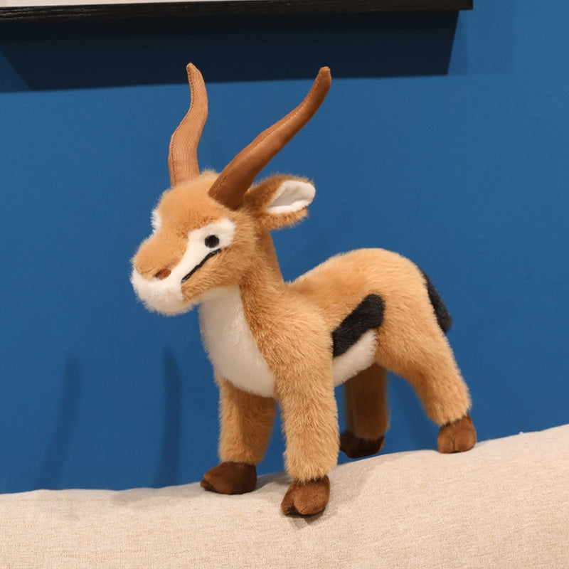 Tibetan antelope