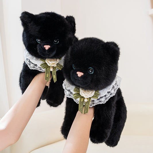 plush cat toy