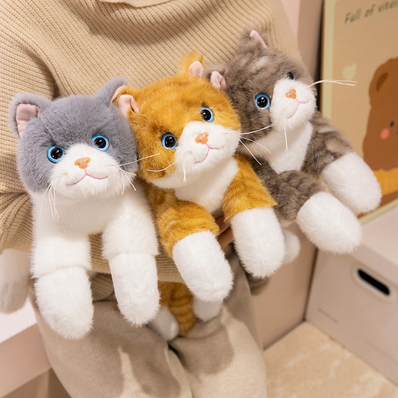 cat-45cm