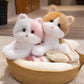 ELAINREN Cream Kitten Stuffed Toy Pillow