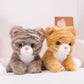 cat-25cm