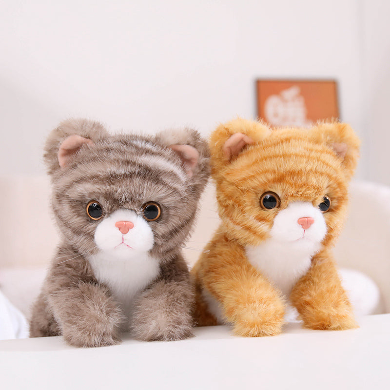 cat-25cm