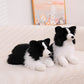 sheepdog-standing-29cm/sitting-24cm/prone-34cm