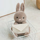 ELAINREN Furry Gray Rabbit Plush Toy Cute Stuffed Bunny with Envelope Decor/9.8inch