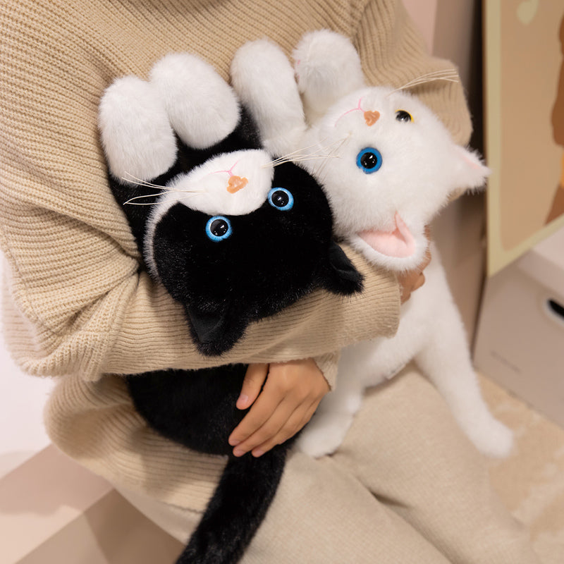 cat-45cm