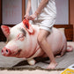 ELAINREN Ultra Realistic Pig Plush Pillow, Cute Pig Decorative Throw Pillow-100cm