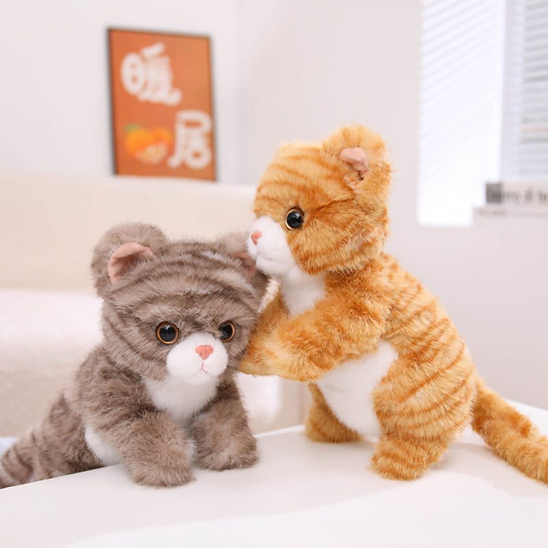 cat-25cm