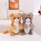 cat-25cm