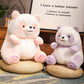 ELAINREN Colorful Panda Stuffed Animals Plush Rainbow Panda Toy Gifts/25cm