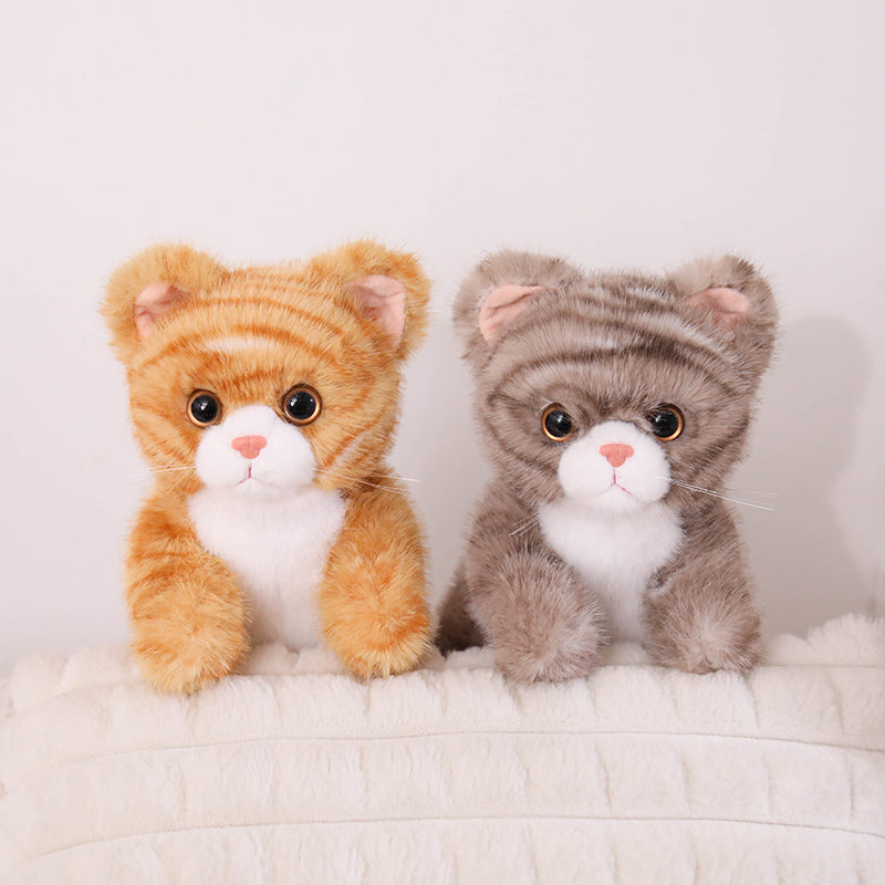 cat-25cm